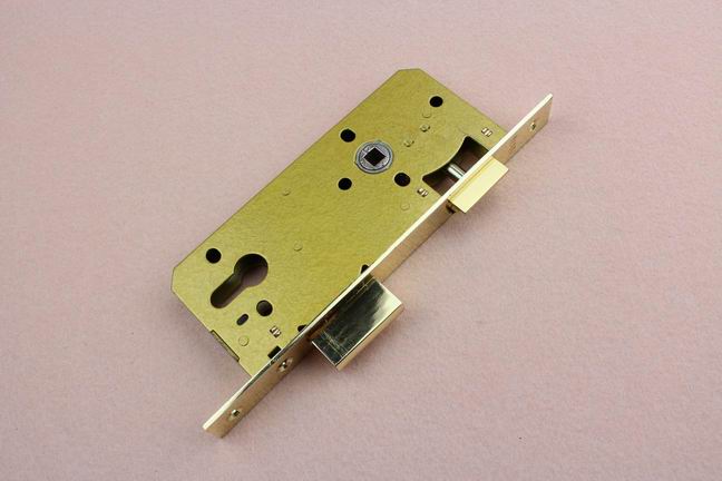 What are the characteristics of the passage latch lock body？